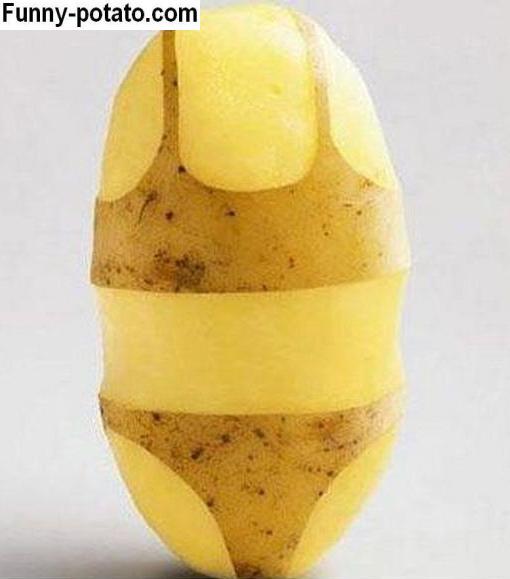 ... was a funny and appropriate picture. A potato “wearing” a bikini