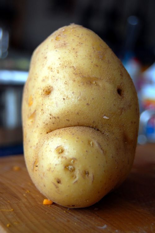 [Image: sad-potato.jpg]