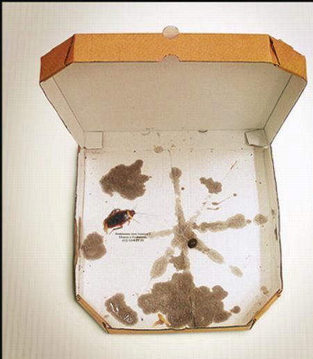 Pizza box