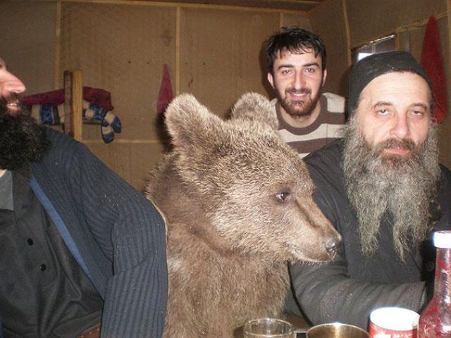 dinner for a bear