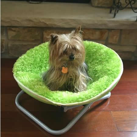 foldable pet bed
