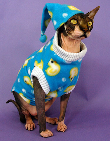 Funny cat pajamas