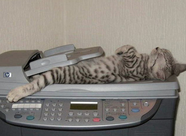 Cat scanner