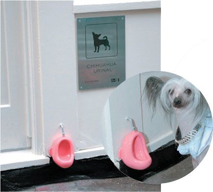 dog urinal