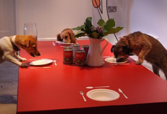 Restaurant for dogs