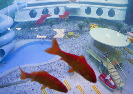 Goldfish hotel