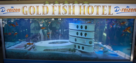 Hotel for fish picture