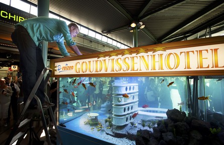 Hotel for fishes