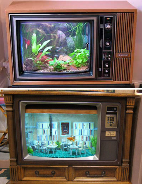 Television fish tank