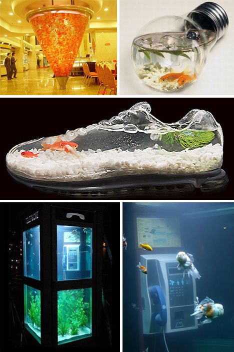 A funny fish tank