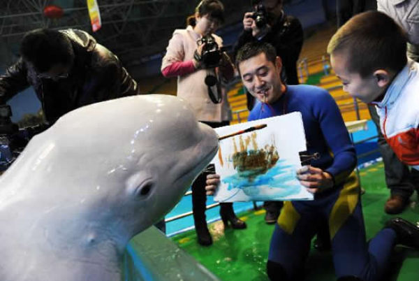 Beluga painting