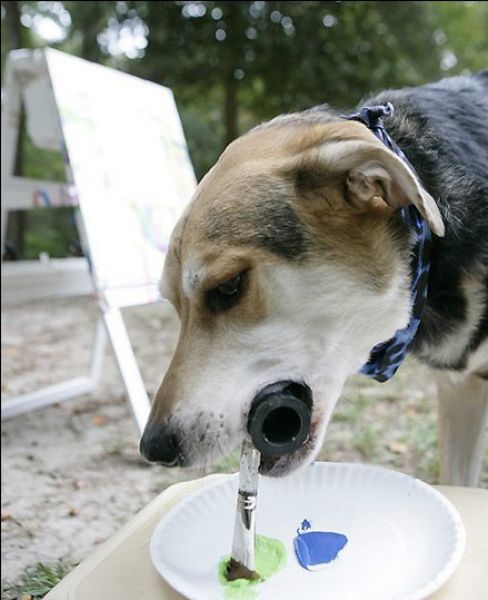 Painting dog