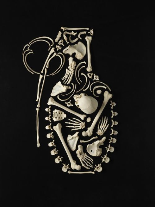 human bone picture
