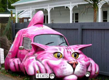 cat car