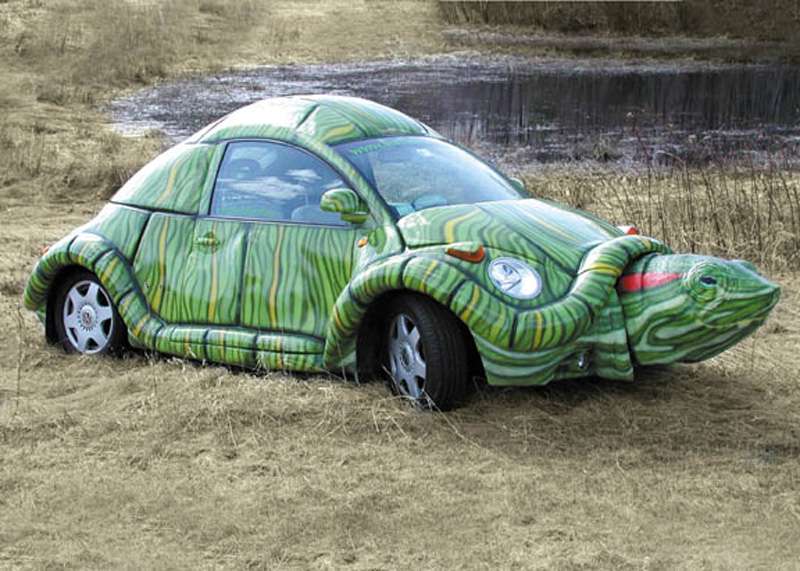 The turtle car