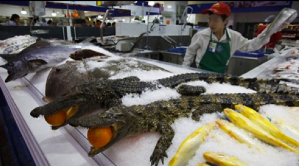 [Image: crocodiles-china-walmart.jpg]