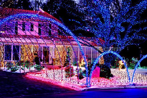 Christmas lights on a tree