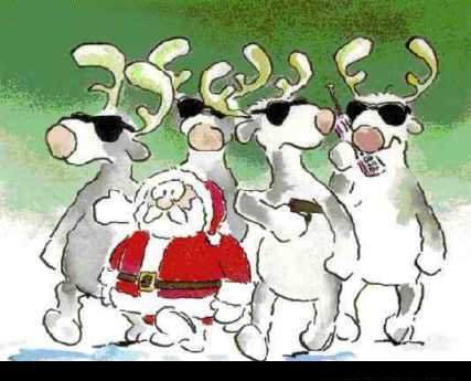 funny christmas pics. Back to the Funny Christmas