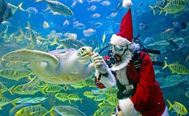 Santa Claus in the ocean