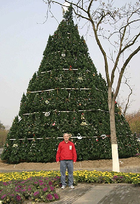 funny christmas pics. Funny Christmas trees