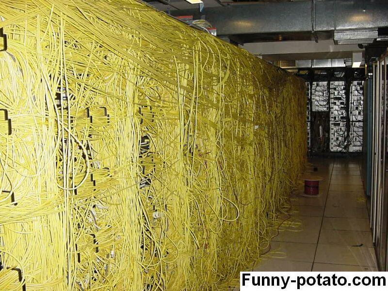 network cables