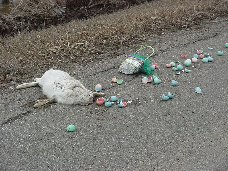 Dead Easter Bunny