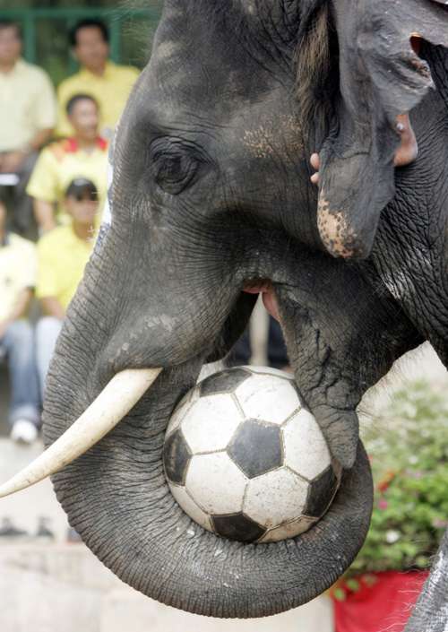 ball soccer