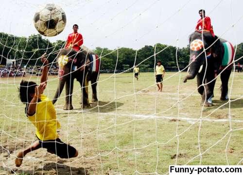 soccer goal