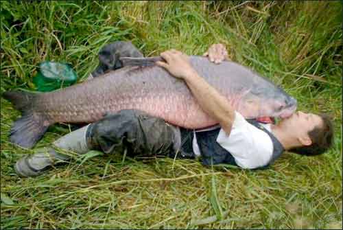 http://www.funny-potato.com/images/fishing/fish-love.jpg