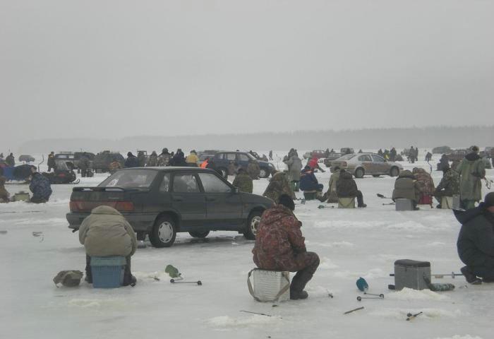 Fishing contest on ice- picture