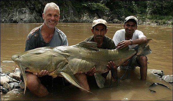 Picture of a mutant fish