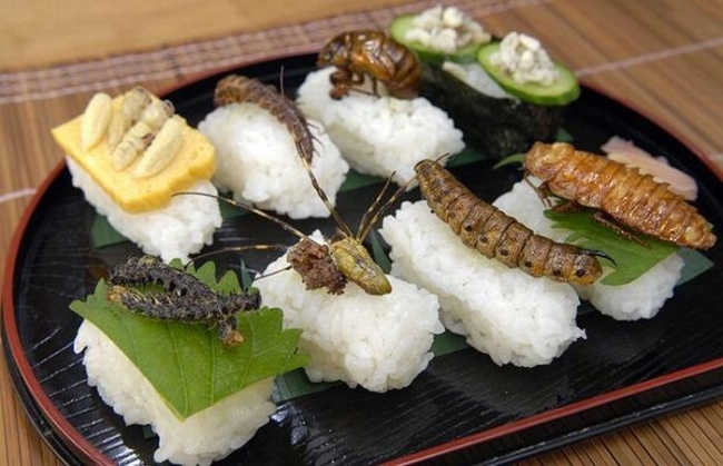 bugs sushi