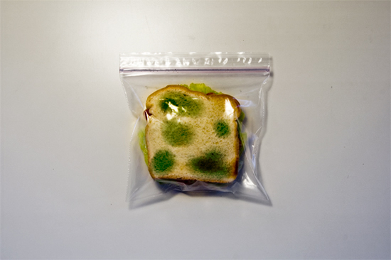 Sandwich with mold