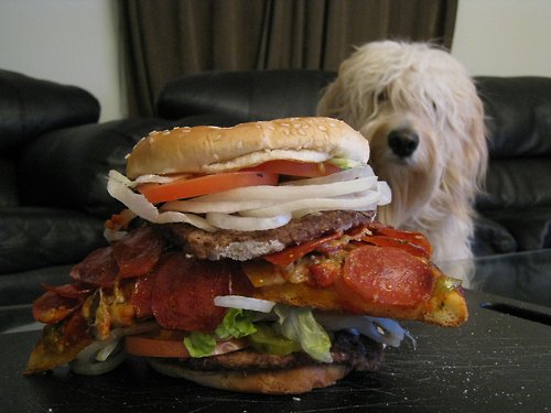 Hamburgers