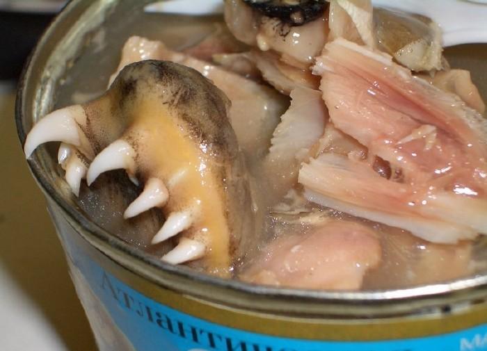 Russia herring