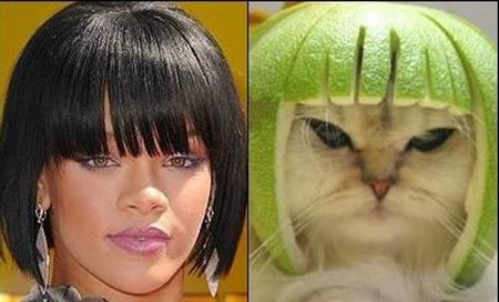 http://www.funny-potato.com/images/funniest-pictures/funny-twins/rihanna.jpg