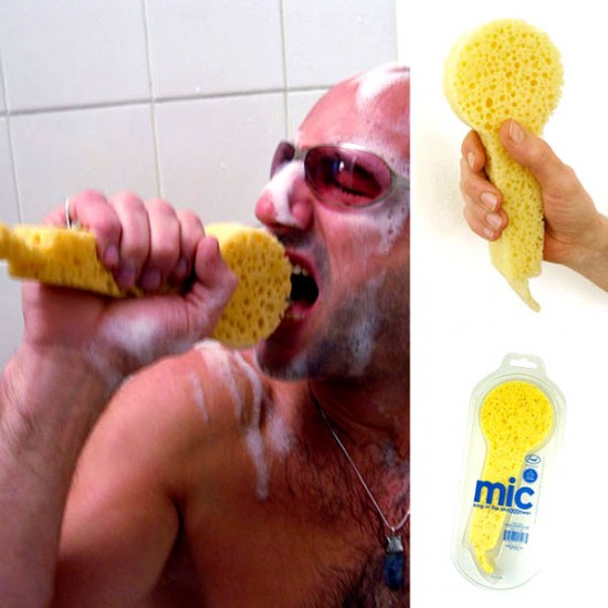 microphone spponge shower
