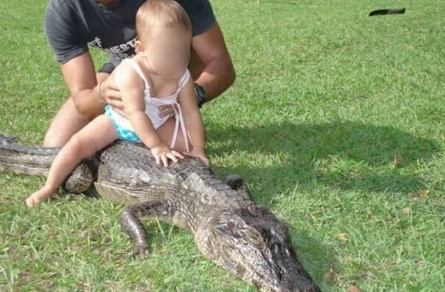 kid with crocodile