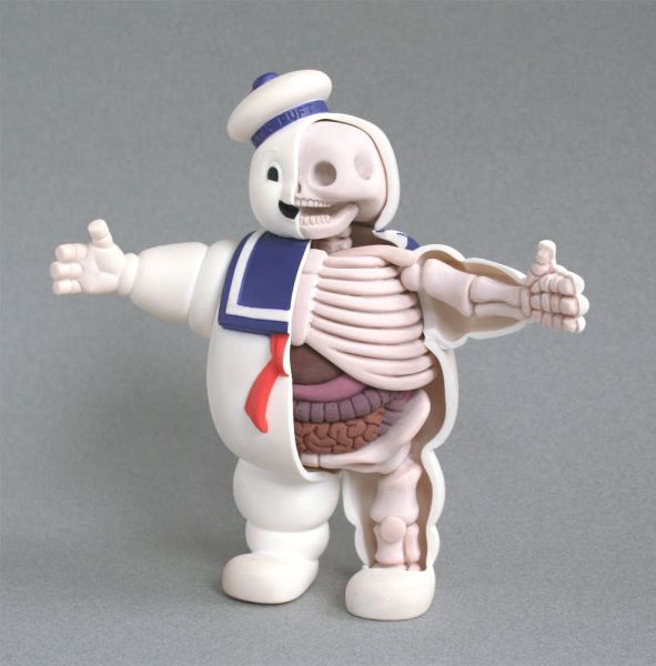 Skeleton Toy