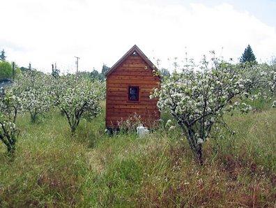 Picture of the smallest house