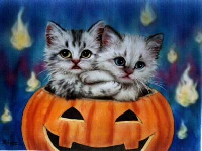 cats in pumpkins