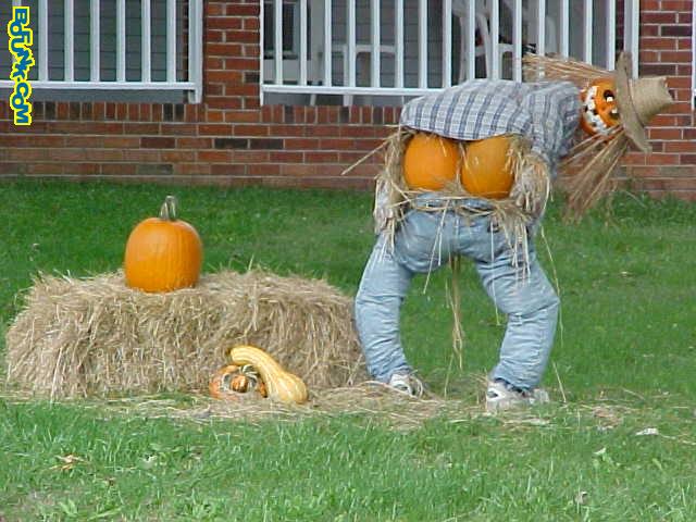 funny pumpkin pictures. pumpkin decoration. Funny!