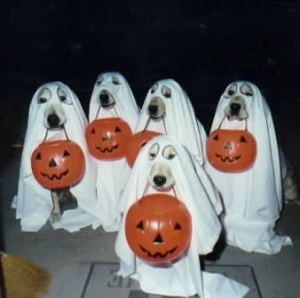 [Image: dos-halloween.jpg]