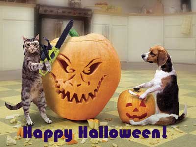 fun halloween