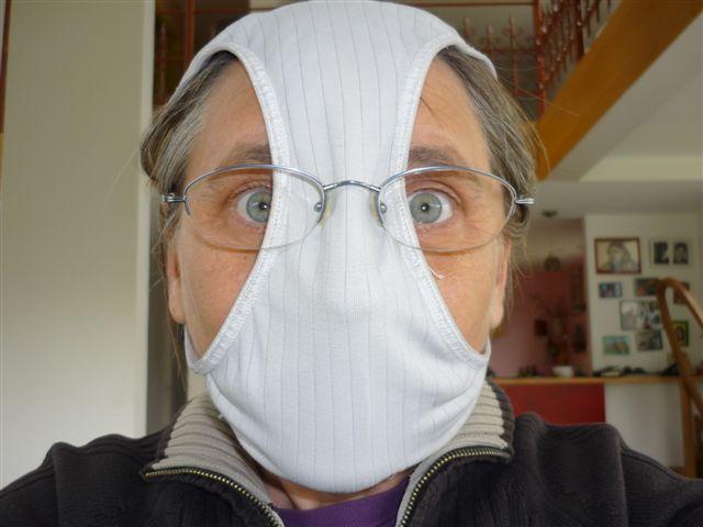 picture of a cheap h1n1 mask