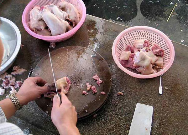 rat cooking